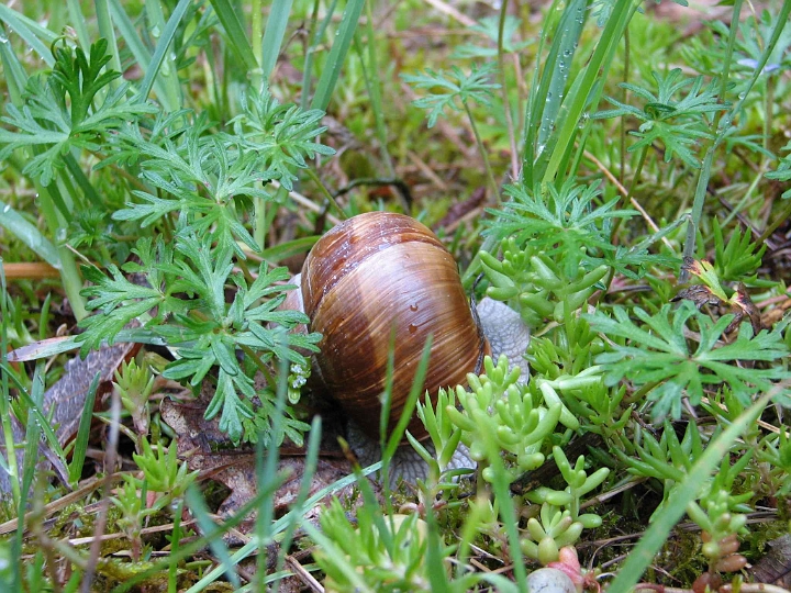 2010 05 Séjour à Martel 09